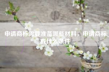 申请商标需要准备哪些材料，申请商标要什么条件