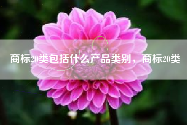 商标20类包括什么产品类别，商标20类