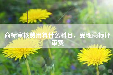 商标审核费用算什么科目，受理商标评审费