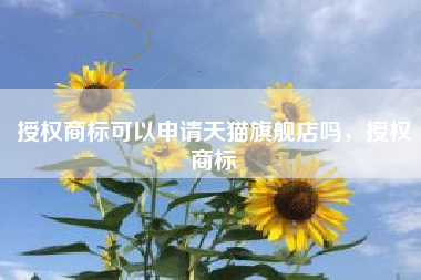 授权商标可以申请天猫旗舰店吗，授权商标