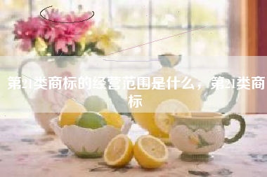 第21类商标的经营范围是什么，第21类商标