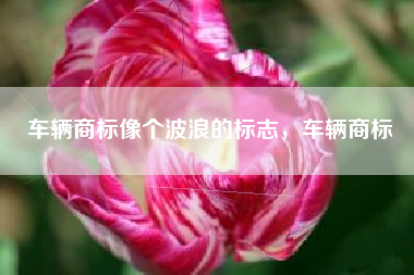车辆商标像个波浪的标志，车辆商标