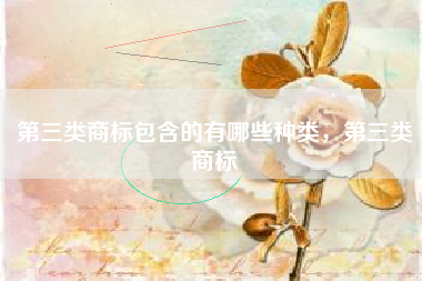 第三类商标包含的有哪些种类，第三类商标