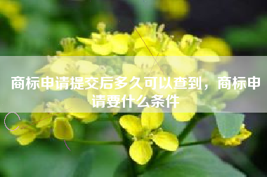 商标申请提交后多久可以查到，商标申请要什么条件