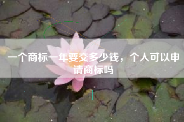 一个商标一年要交多少钱，个人可以申请商标吗