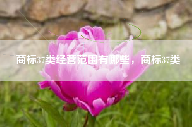 商标37类经营范围有哪些，商标37类