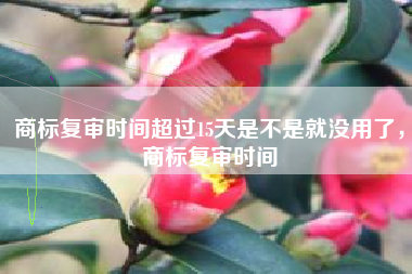 商标复审时间超过15天是不是就没用了，商标复审时间