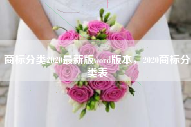商标分类2020最新版word版本，2020商标分类表