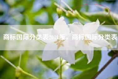 商标国际分类表2019版，商标国际分类表