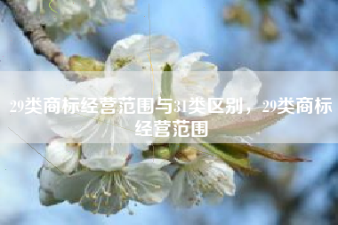 29类商标经营范围与31类区别，29类商标经营范围