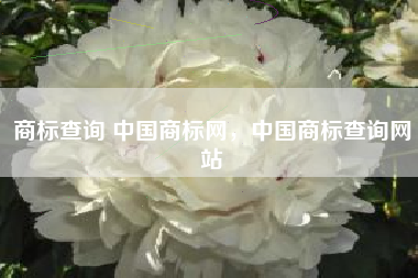 商标查询 中国商标网，中国商标查询网站
