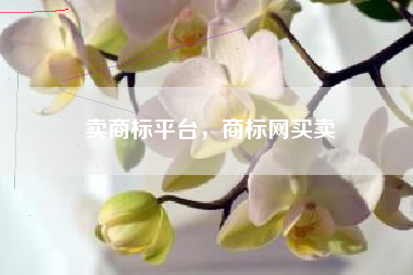 卖商标平台，商标网买卖