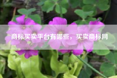 商标买卖平台有哪些，买卖商标网