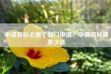 申请商标去哪个部门申请，申请商标得多少钱