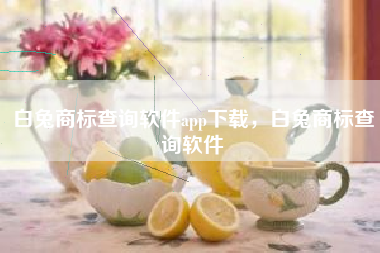 白兔商标查询软件app下载，白兔商标查询软件