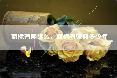 商标有期限么，商标有效期多少年