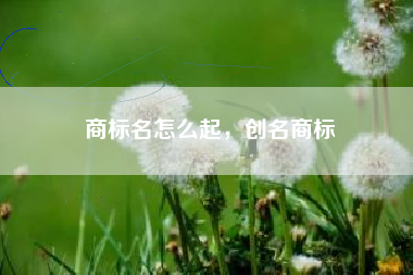 商标名怎么起，创名商标