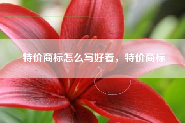 特价商标怎么写好看，特价商标