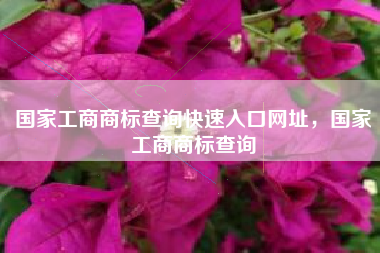 国家工商商标查询快速入口网址，国家工商商标查询
