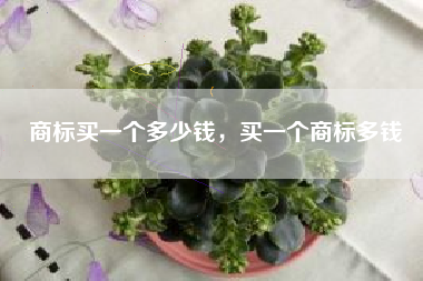 商标买一个多少钱，买一个商标多钱