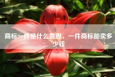 商标一件是什么意思，一件商标能卖多少钱