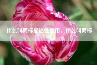 什么叫商标描述性使用，什么叫商标