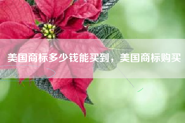美国商标多少钱能买到，美国商标购买