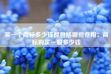 买一个商标多少钱都包括哪些费用，商标购买一般多少钱