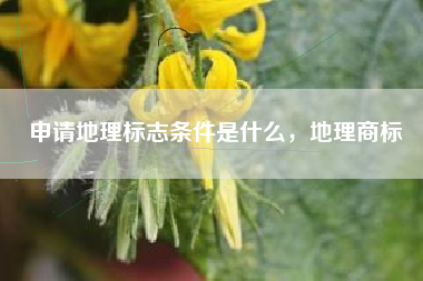 申请地理标志条件是什么，地理商标