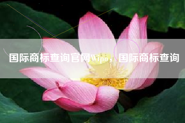 国际商标查询官网Wipo，国际商标查询