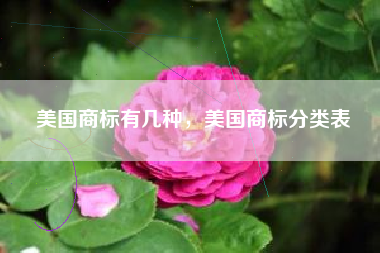 美国商标有几种，美国商标分类表