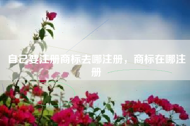 自己要注册商标去哪注册，商标在哪注册