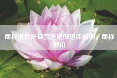 商标报价是自营还是做过评估的，商标报价