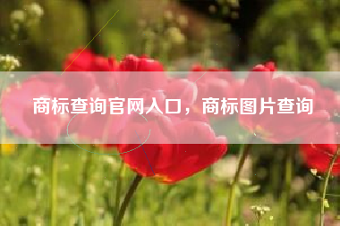 商标查询官网入口，商标图片查询