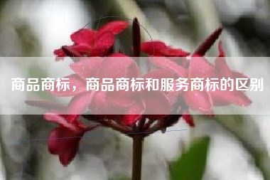 商品商标，商品商标和服务商标的区别