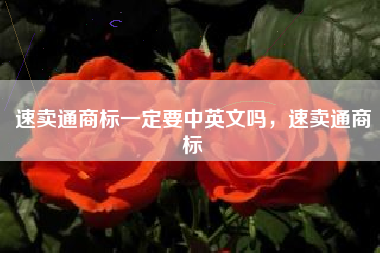 速卖通商标一定要中英文吗，速卖通商标