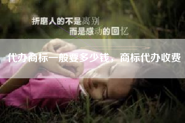 代办商标一般要多少钱，商标代办收费
