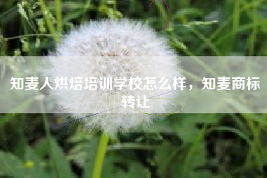 知麦人烘焙培训学校怎么样，知麦商标转让