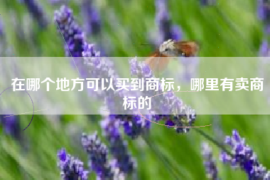 在哪个地方可以买到商标，哪里有卖商标的
