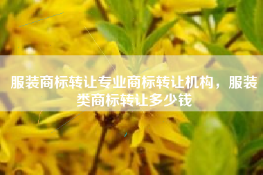 服装商标转让专业商标转让机构，服装类商标转让多少钱