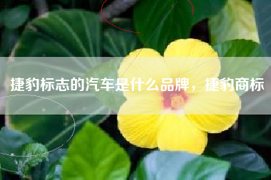 捷豹标志的汽车是什么品牌，捷豹商标