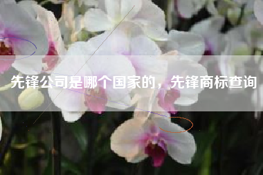 先锋公司是哪个国家的，先锋商标查询