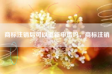 商标注销后可以重新申请吗，商标注销