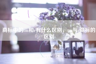 商标中的tm和r有什么区别，tm与r商标的区别