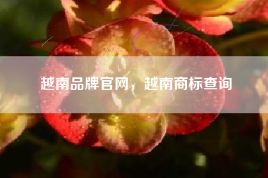 越南品牌官网，越南商标查询