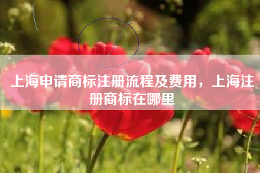 上海申请商标注册流程及费用，上海注册商标在哪里