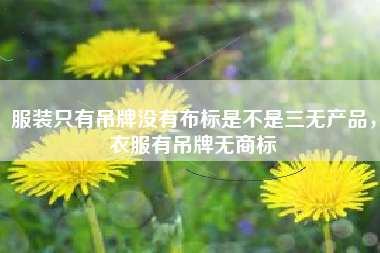 服装只有吊牌没有布标是不是三无产品，衣服有吊牌无商标