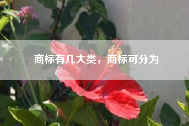商标有几大类，商标可分为