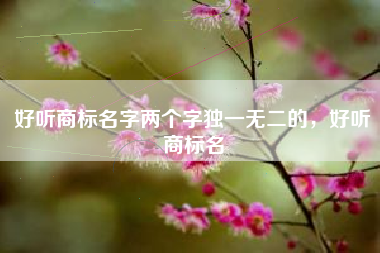 好听商标名字两个字独一无二的，好听商标名