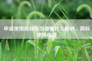 申请使用商标应当遵循什么原则，商标使用申请